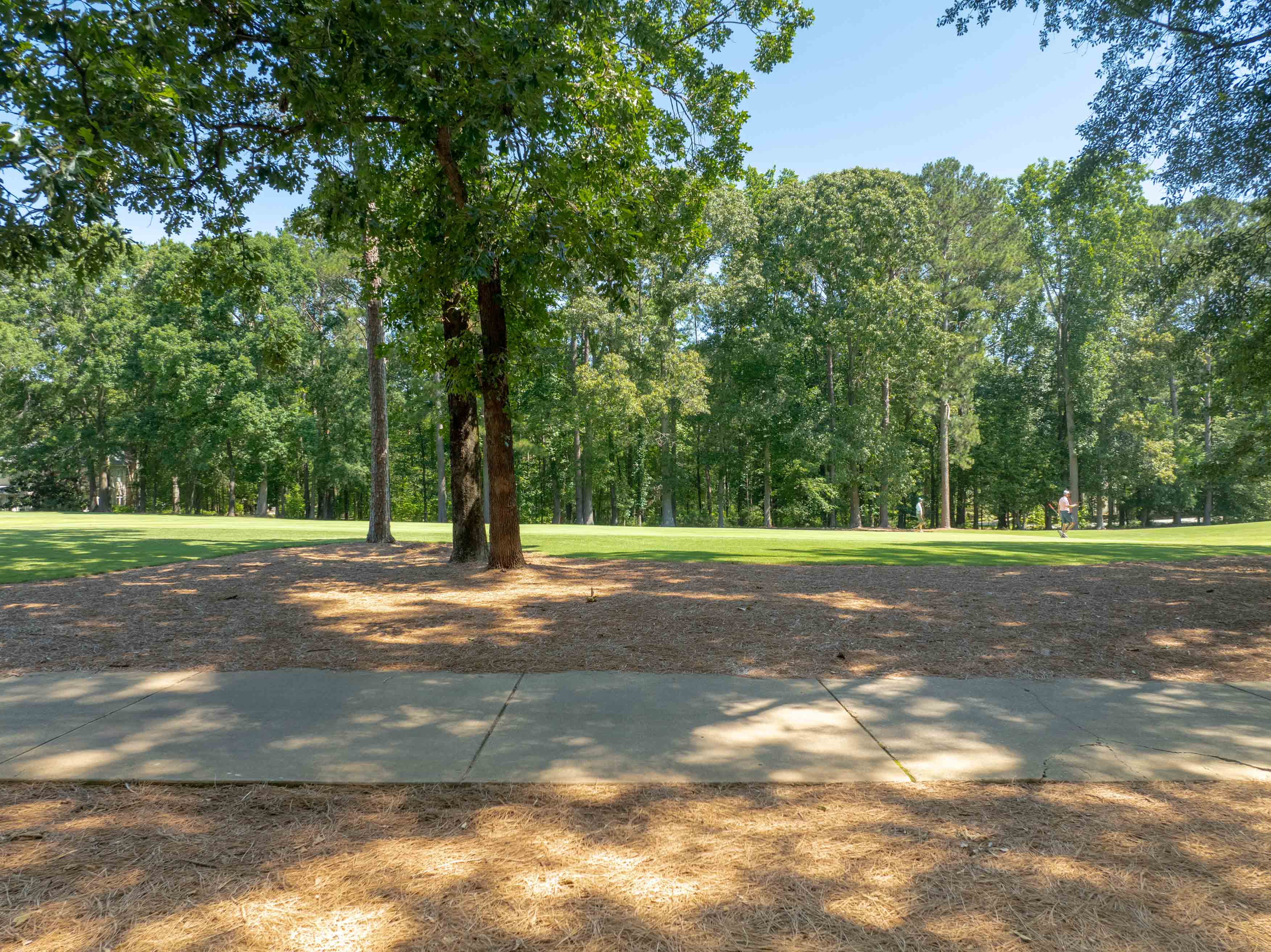 381 Reynolds Drive image 5